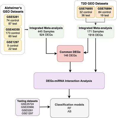 Type 2 Diabetes Mellitus and its comorbidity, Alzheimer’s disease: Identifying critical microRNA using machine learning